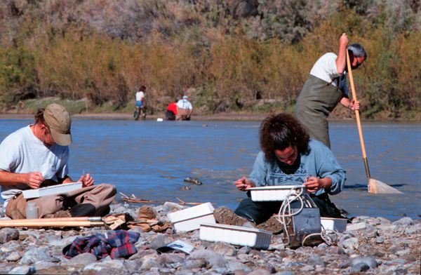Field team sorting aquatic samples on the banks of the Rio Grande